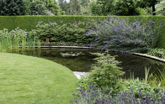 english garden with green grass near a small water and plants flowers like buddleja 
