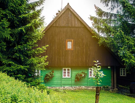 Traditional mountain chalet, cottage or hut made of wood surrounded by spruce trees, painted green and brown with lawn in front of in warm light, relaxing vacation, local accommodation in Czech republic, central Europe, Orlicke hory