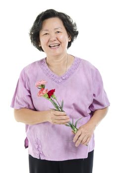 Happy mothers day concept. Portrait of 60s Asian senior adult woman hand holding carnation flower gift and smiling, isolated on white background.