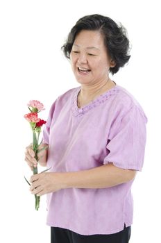 Celebrating happy mothers day concept. Portrait of 60s Asian senior adult woman hand holding carnation flower gift and smiling, isolated on white background.