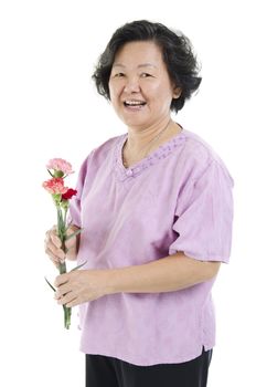 Happy mothers day concept. 60s Asian senior adult woman hand holding carnation flower gift and smiling, isolated on white background.