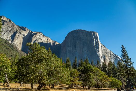 El Capitan (Spanish for The Captain, The Chief) is a vertical rock formation in Yosemite National Park, located on the north side of Yosemite Valley, near its western end. The granite monolith extends about 3,000 feet (900 m) from base to summit along its tallest face and is one of the world's favorite challenges for rock climbers and BASE jumpers.