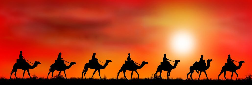 Silhouettes of riders on camels on the background of sunset.                                                                 