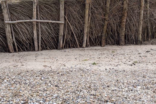 Flood protection at the shore of the rhine