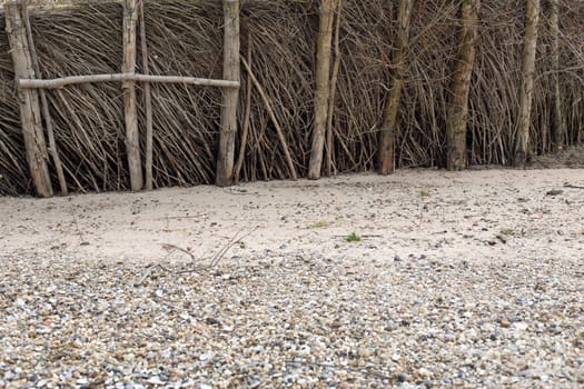 Flood protection at the shore of the rhine