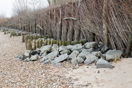 Flood protection at the shore of the rhine