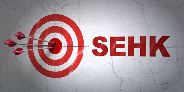 Success Stock market indexes concept: arrows hitting the center of target, Red SEHK on wall background, 3D rendering