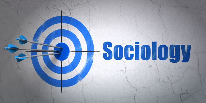 Success Learning concept: arrows hitting the center of target, Blue Sociology on wall background, 3D rendering
