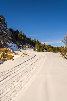 Snow road at Ziria mountain with fir trees on a winter day, Korinthia, South Peloponnese, Greece. Ziria is one of the snowiest mountains in Peloponnese (2,374m).