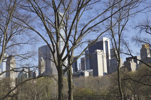 Central Park and midtown Manhattan Skyline, New York City, United States
