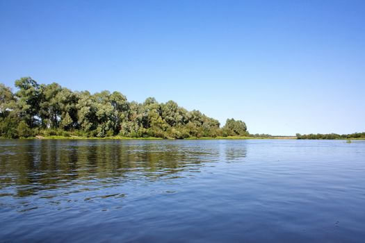 river summer's day with calm water and overgrown shrubs and trees on shores