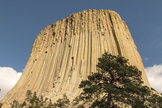 Devils Tower in Wyoming viewed up close.