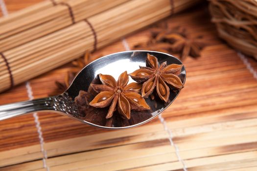 two stars of anise in a spoon close up