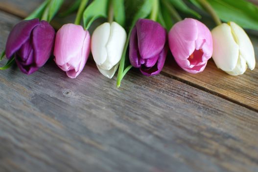 Spring tulips on a wooden background with space