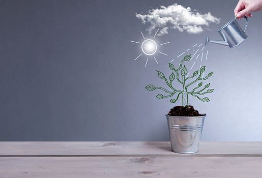 Sketch of a tree inside a pot being watered 