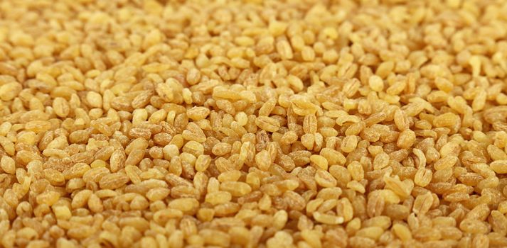 Yellow traditional bulgur (bulghur, burghul) big grains of durum wheat, close up pattern background, low angle view, selective focus