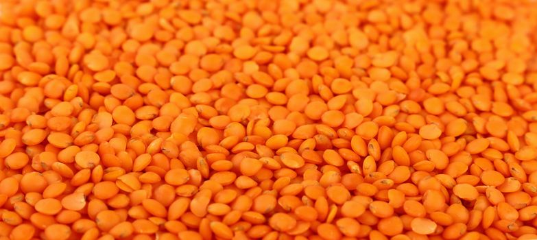 Orange Masoor Dal (Red Chief) lentil lens close up pattern background, low angle view, selective focus