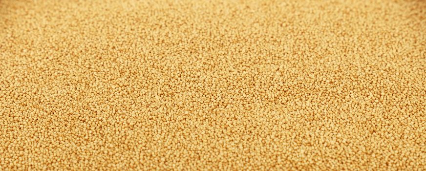 Amaranth grain seeds close up pattern background, low angle view, selective focus