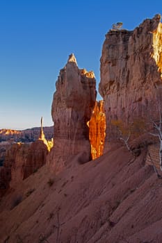 View from Sunset Point, Bryce National Park. Utah (IMG_2352)