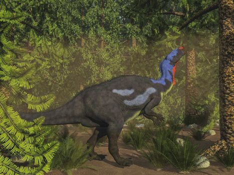 Camptosaurus dinosaur eating in wollemia pine forest - 3D render