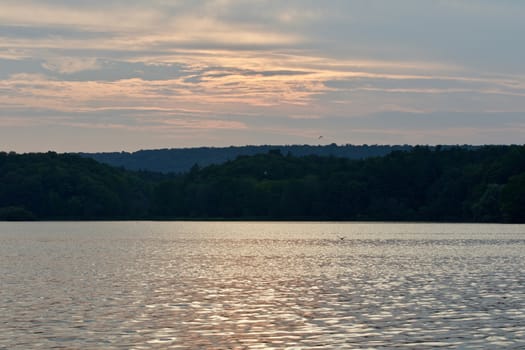 Beautiful landscape with the lake and the forest on the sunset