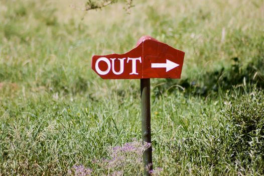 Signpost parking exit in white letter on wooden background