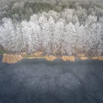 Aerial view of the winter background with a snow-covered forest and lake from above captured with a drone in Poland.