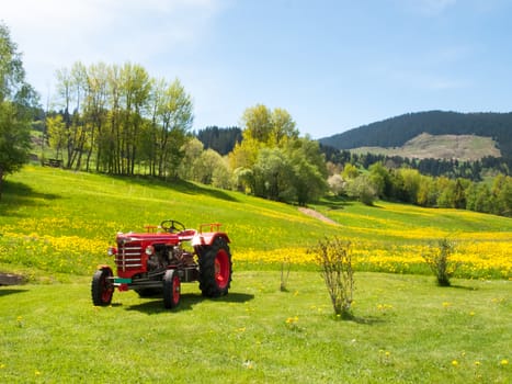 Surselva, Switzerland - May 14, 2015: Antique tractor parked on a lawn. The tractor is illuminated by the sun during a beautiful day on the day of the Feast of the Ascension.