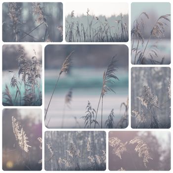 Collage of winter images - travel background (my photos)