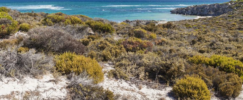 Scenic view over one of the beaches of Rottnest island, Australia.