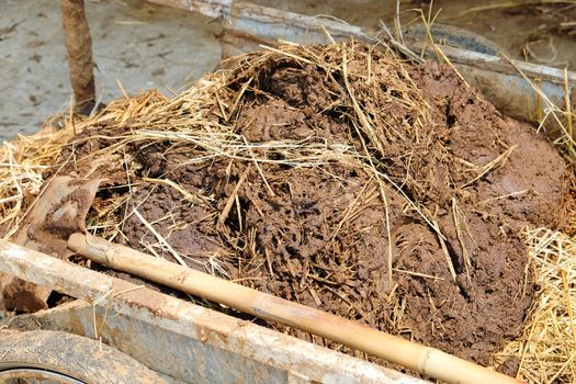farmyard manure close up