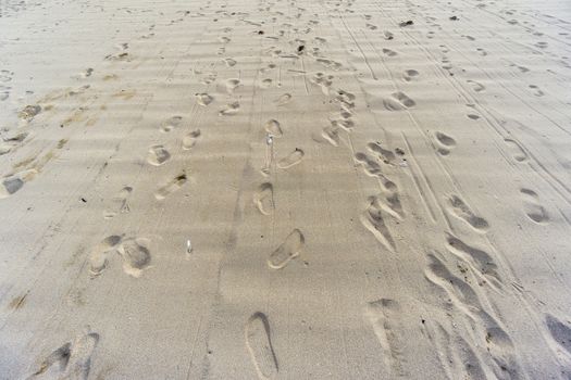 foot prints in the sand near sea beach in bali, indonesia