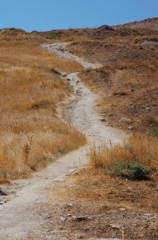 path in the summer field on hill