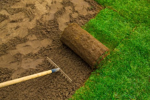 Gardener applying turf rolls in the backyard