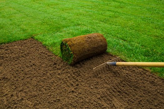 Gardener applying turf rolls in the backyard