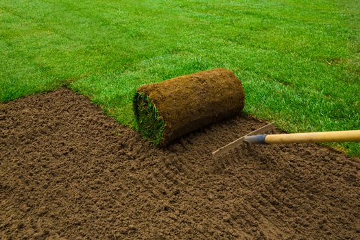 Gardener applying turf rolls in the backyard