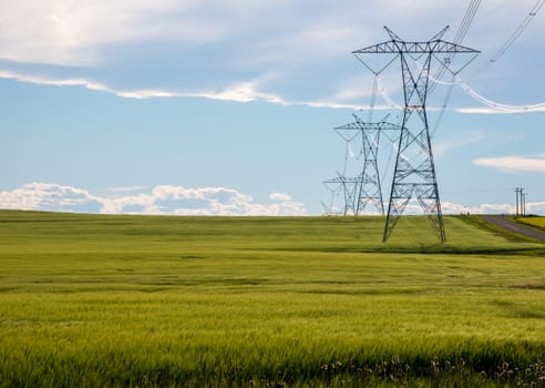 Power lines in a farm field on a sunny day with clouds