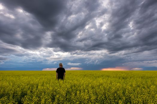 Lone caucasian guy standing in canola field during storm