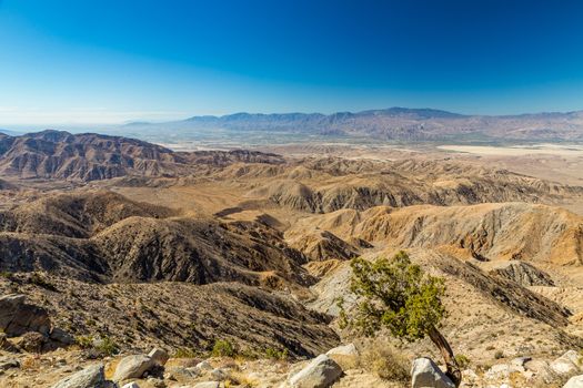 Joshua Tree National Park is a vast protected area in southern California. It's characterized by rugged rock formations and stark desert landscapes.