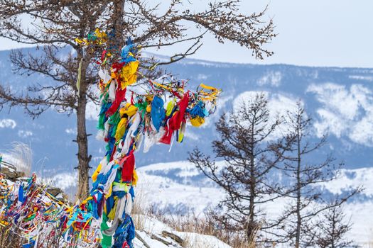 Ribbons on the tree. Winter in mountains