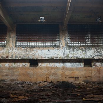 discarded ruin with old windows and wall, industrial window in concrete wall