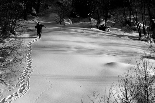 Traces on the snow