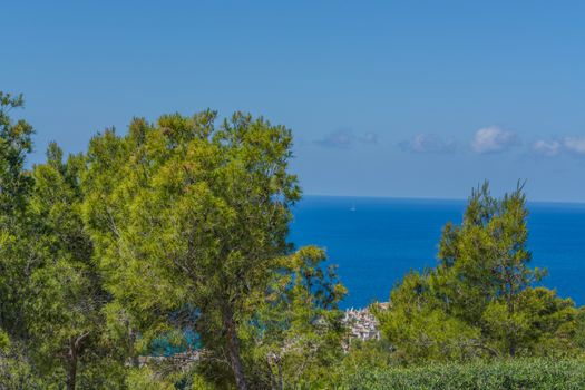 Panorama of the bay Paguera photographed from the mountain in Costa de la Calma.