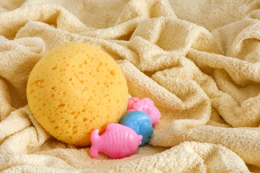  sponge and soap on a  white background