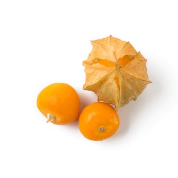 cape gooseberry on white background