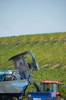Mechanical harvesting of grapes in the vineyard, France