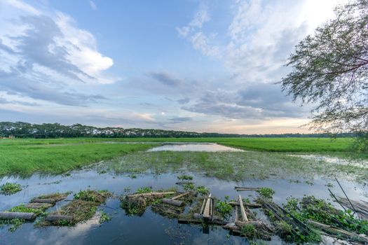 green field and blue sky with light clouds in Gopalgonj, bangladesh