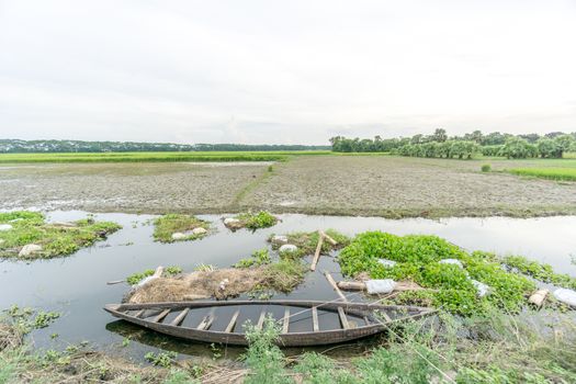 green field and blue sky with light clouds in Gopalgonj, bangladesh