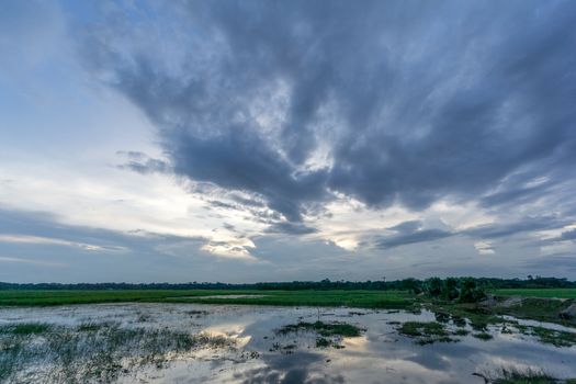 green field and blue sky with light clouds in Gopalgonj, bangladesh
