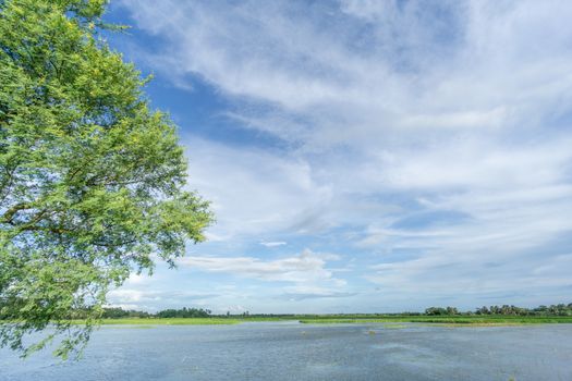 green field and blue sky with light clouds in Gopalgonj, bangladesh